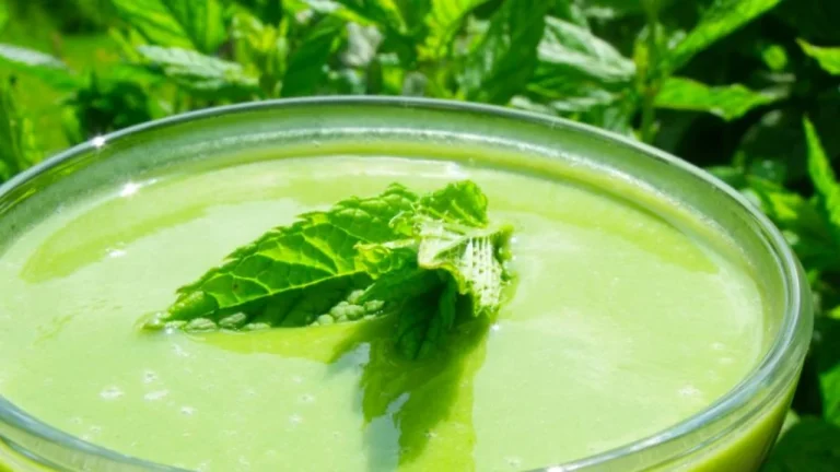 Pazia, Laboti, Hithra – Vlerat Cilësore Për Organizmin