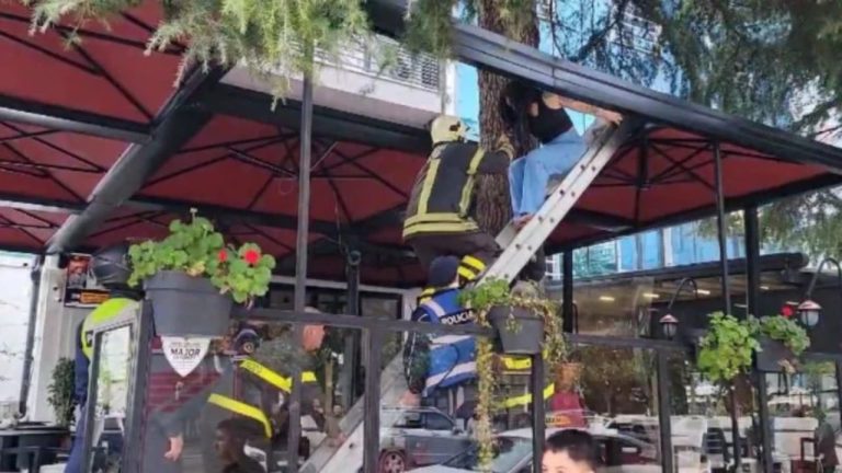 23-vjeçarja nga Barcelona u hodh nga ballkoni pas sherrit, vihet në pranga tutori që shfrytëzonte 5 vajza për prostitucion