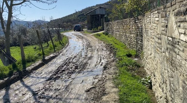 Fshati i beqarëve! Në Sarasel të Gramshit nuk ka rrugë, shkollë dhe shëndetësi. S’shkon asnjë nuse
