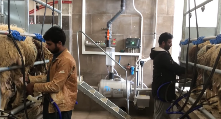 Mungesa e fuqisë punëtore, Shqipëria në negociata për të marrë 40 mijë punonjës të huaj