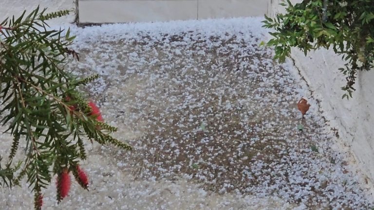 Elbasani zbardhet nga breshëri në pranverë(Video)