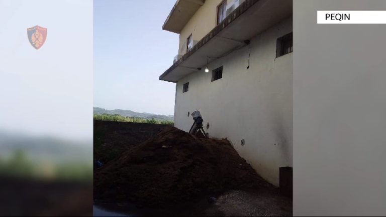 Arrestohet drejtori i OSHEE Peqin! Dyshohet se lejoi kultivimin e kanabisit në një magazinë