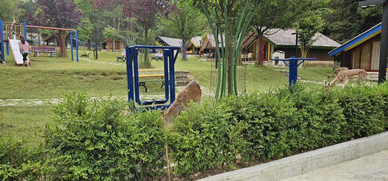 Prrenjas/Goditi me grushte, për shkak të detyrës, punonjësin e shërbimit pyjor, ndalohet 41-vjeçari.