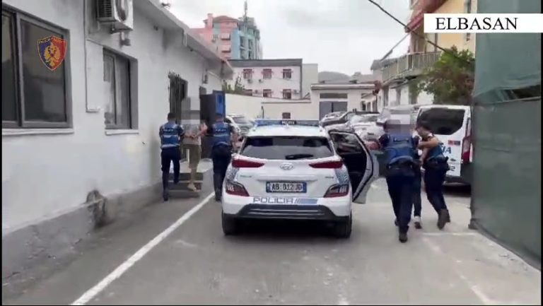Elbasan/ Akuzohen si bashkëpunëtorë në vjedhje. Arrestohen dy të rinj
