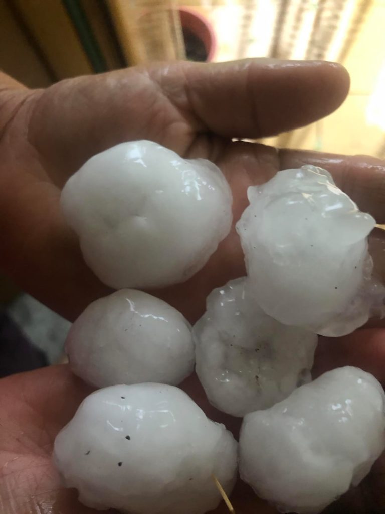 Breshëri sa një top në Gjinar të Elbasanit, shkakton dëme në pemtari