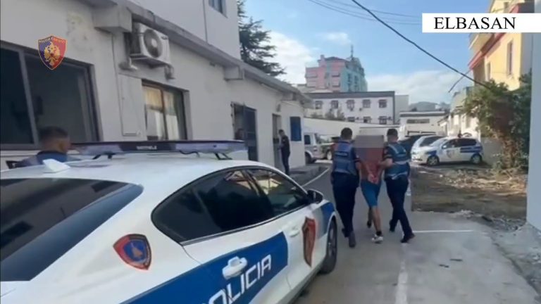Arrestohet 21-vjeçari nga fshati Gjinar i Elbasanit. Lëvizte me armë zjarri (Pamje)