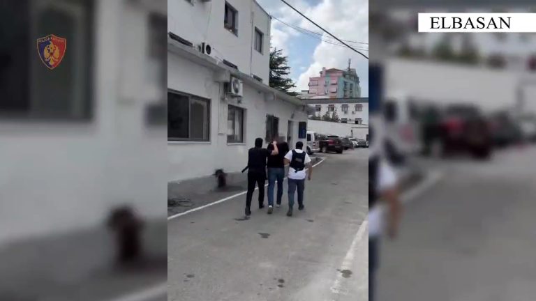 Elbasan/ Arrestohen për armëmbajtje pa leje dy persona