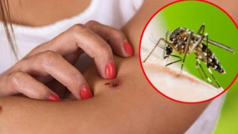 Konfirmohen dy raste me ethet e Nilit në Elbasan!