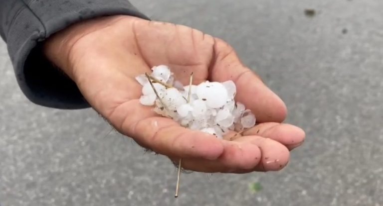 Breshëri dëmton fermën e bletëve në Pogradec