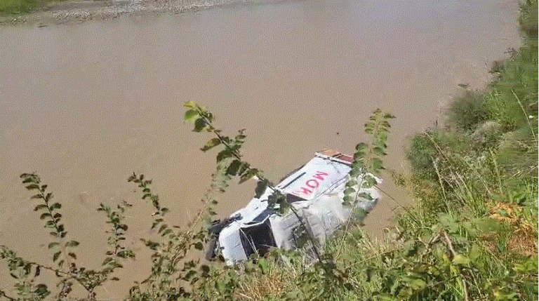 Bie në Shkumbin fugoni (VIDEO)