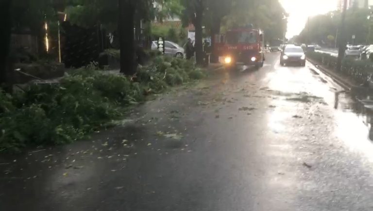Video/ Stuhia shkakton probleme në Elbasan