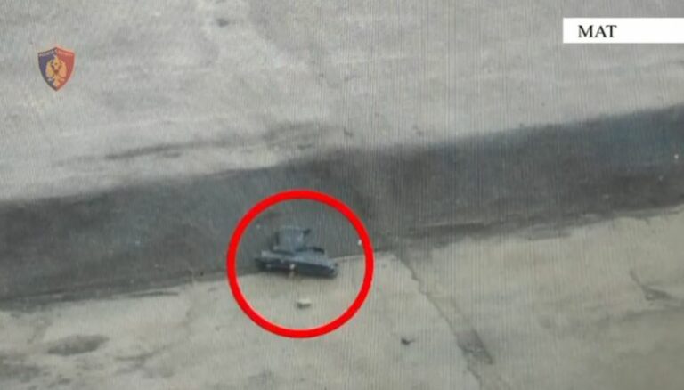 Tentoi të trafikonte armë zjarri me makinën e vjedhur në Gjermani, arrestohet 38-vjeçari në Morinë