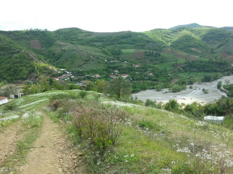 Miku i bashkisë i’u vjedh rrugën e fshatit.Banorët e Kodër Bujarës i drejtohen këshillitarit Murataj