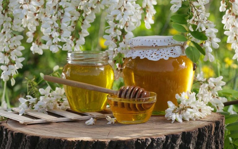 Thesaret e Akacias dhe Mjalti i Saj i Artë që Ju Mbush me Energji