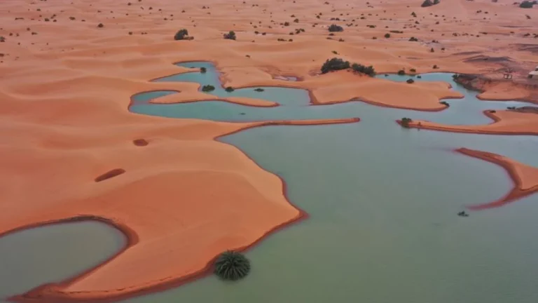 FOTO/ NASA publikon pamjet e pabesueshme, përmbytjet krijojnë liqene në Sahara