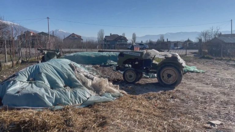 Ngërçi i fermerëve, naftën pa akcizë e marrin ata që nuk e punojnë tokën