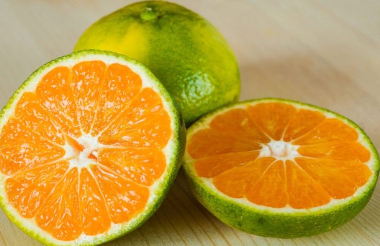 Prodhime të freskëtaA e njihni frutin Mapo? – Çfarë duhet të dini rreth kësaj agrumeje