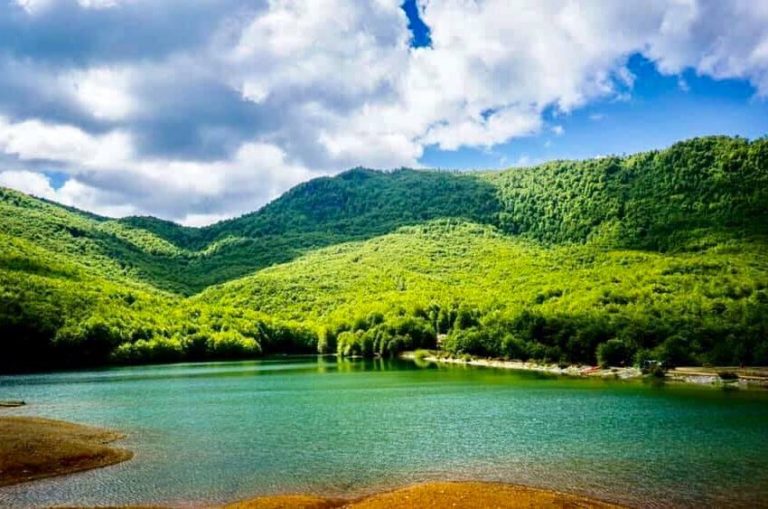 Në parkun që mbrohet nga UNSECO/ Shebenik, gjenden mbi 1600 lloje bimësh dhe karnivorësh të rrallë