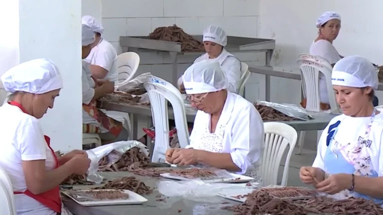 6 mijë vende të lira pune, pjesa më e madhe në Tiranë, të shpërndara në profile të ndryshme