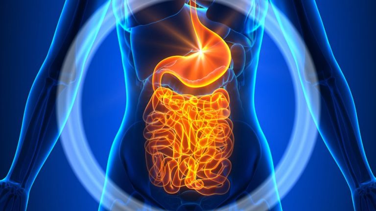 5 Shenja që Tregojne se Sistemi Juaj Tretës nuk Gëzon Shëndet të Plotë
