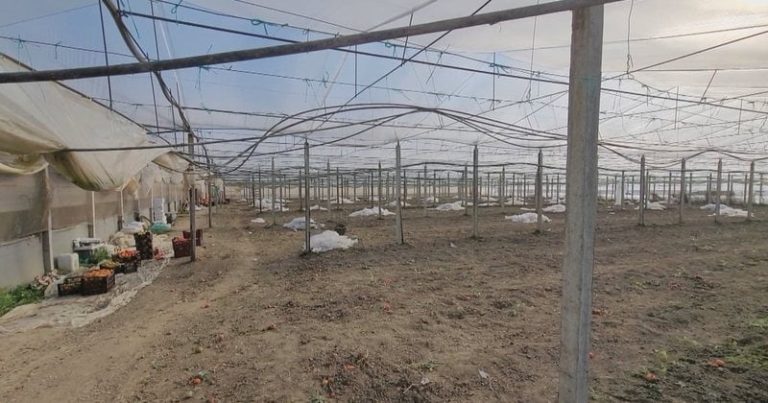 Shkak braktisja e fshatit e mungesa e fondeve, bujqësia po humb peshën e saj në ekonomi, sektori në rënie të lirë