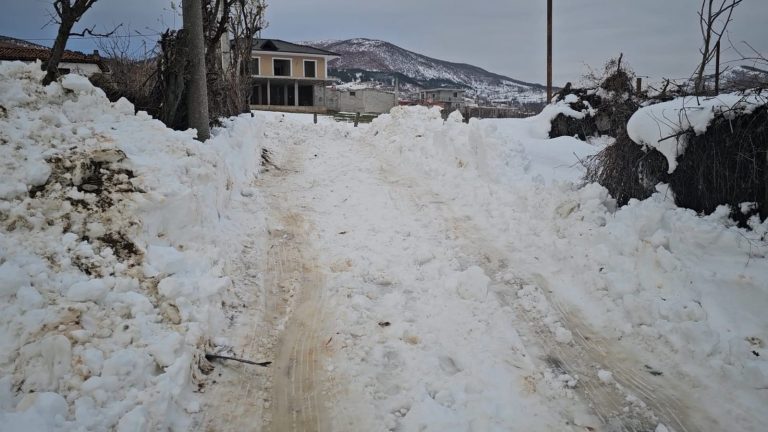 Dështon bashkia Elbasan. 6 shkolla të mbyllura për shkak të bllokimit nga bora