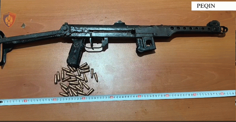 Tentoi të vrasë me armë gjahu bashkëshorten, pranga 68-vjeçarit