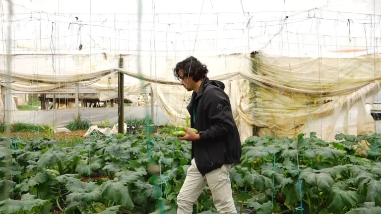 Fondet në bujqësi, fermerët kërkojnë rritje të financimit! Bankat nuk i mundësojnë kreditë
