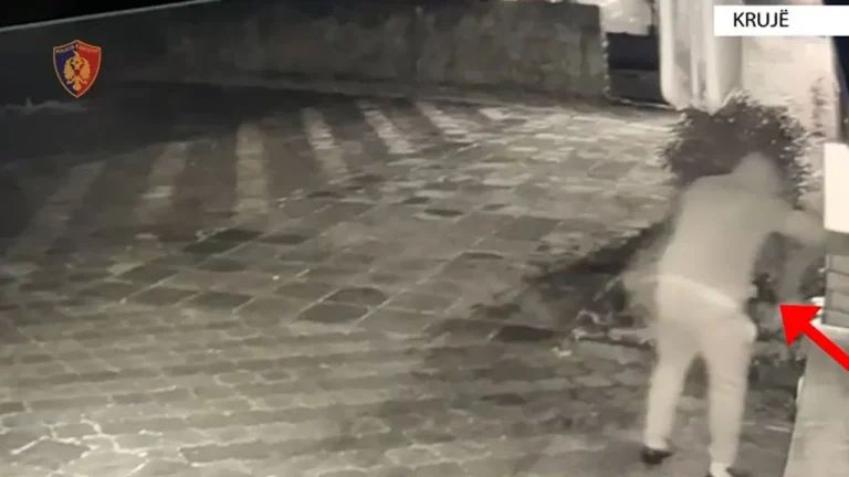 Tritoli i vendosur ndaj fasadës së lokalit në Fushë Krujë, kapet bashkëpunëtori i autorit