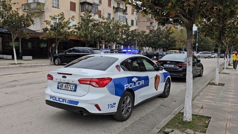 Aksion “blic” gjatë natës në Peqin! Kontrolle nëpër lokale, disa të shoqërua