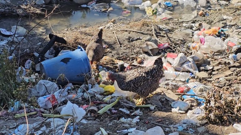 FSHATI GODOLESH NË ELBASAN “QELBET” NGA PLEHRAT