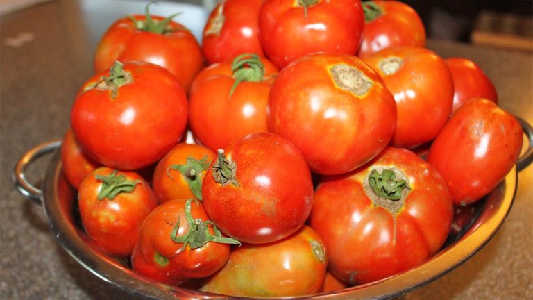 Dhjetra fermerë dhe farmaci të gjobitura për pesticide të ndaluara, hyjnë kontrabandë! 23 ngarkesa fruta-perime të kontaminuara