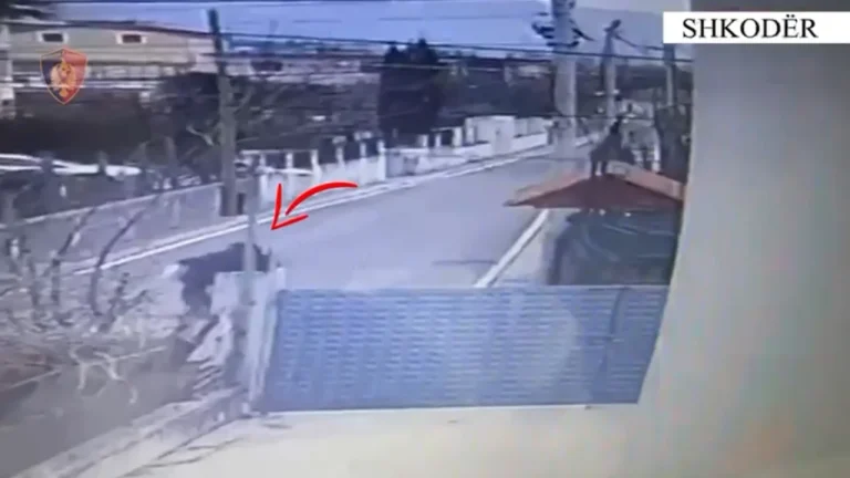 Grabitën 100 mijë euro/ Shkodër, policia zbulon dy autorët dhe i shpall në kërkim