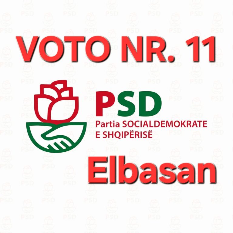 Ja çfarë i duhet qytetit të Elbasanit