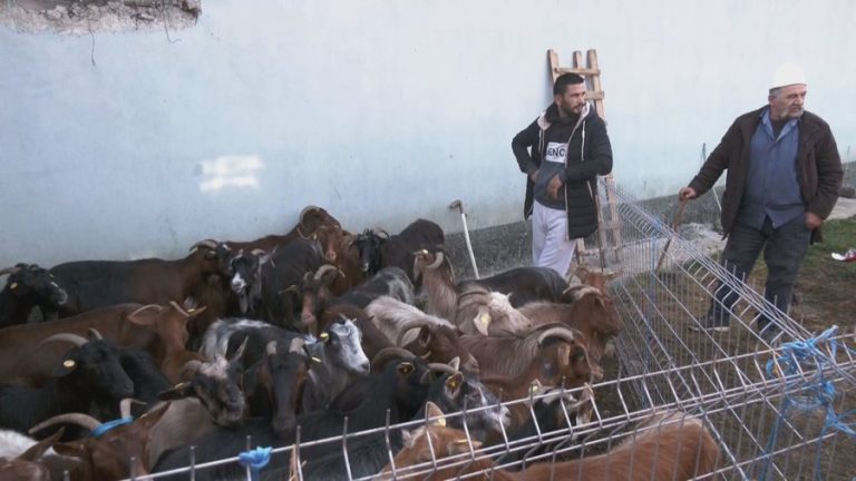 BE refuzon mishin shqiptar, shkak, mungesa e sigurisë