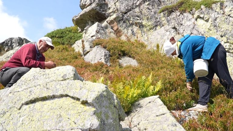 Pagat largojnë të rinjtë nga fshati! Ekspertët thirrje bizneseve: Rrisni rrogat, ose mbeteni pa punëtorë