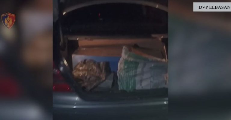 Trafikim armësh drejt Maqedonisë së Veriut, tre të arrestuar në Elbasan