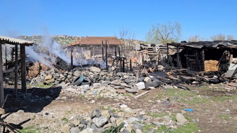 Digjet stalla me gjithë derra/ Në Ravonik të Korçës, flakët kanë rënë aksidentalisht