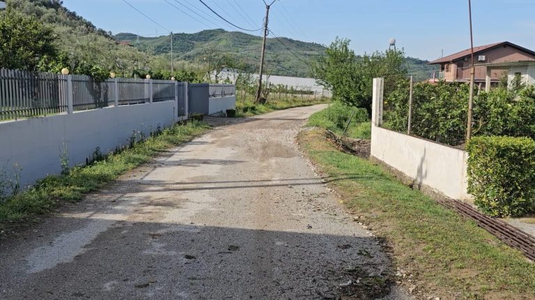 BRESHËRI GODET FSHATRAT E ELBASANIT, DËME TË MËDHA NË BUJQËSI