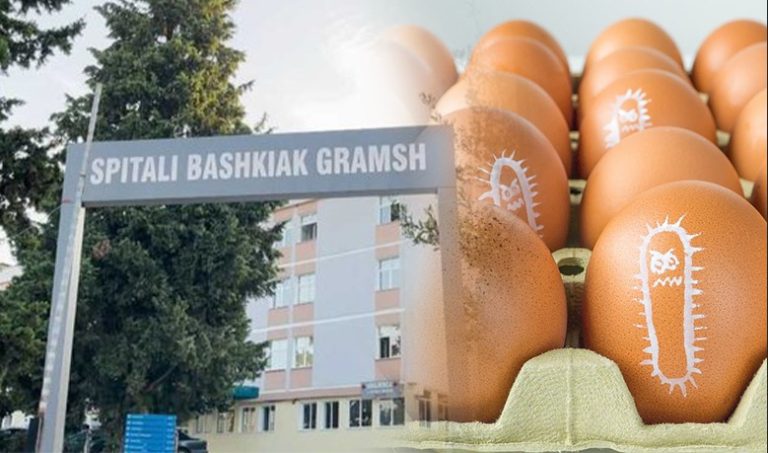 Infektimi me salmonelë i 17 fëmijëve në Gramsh, dalin përgjigjet e analizave: Vezët ishin të kontaminuara
