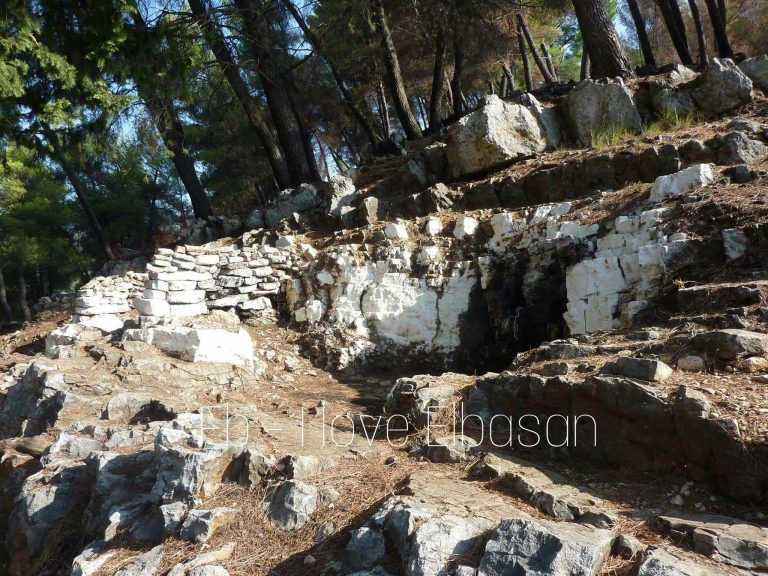 Elbasan/ Ndezën qirinj tek vendi i mirë por i vunë flakën pyllit në Krastë