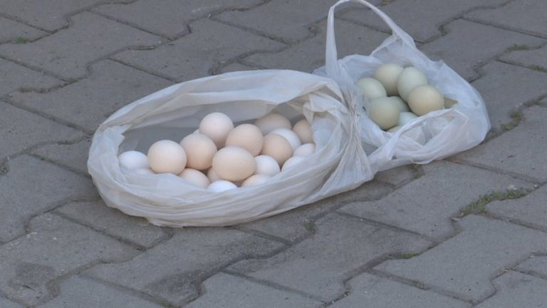 Inflacioni ra në maj, por çmimet mbeten të larta për qytetarët, veza luks për shqiptarët