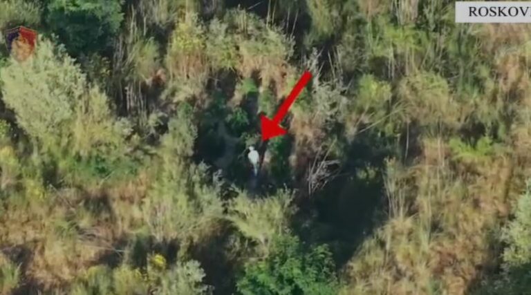 EMRI/ Mbolli kanabis buzë përroit të fshatit, arrestohet 59-vjeçari në Roskovec