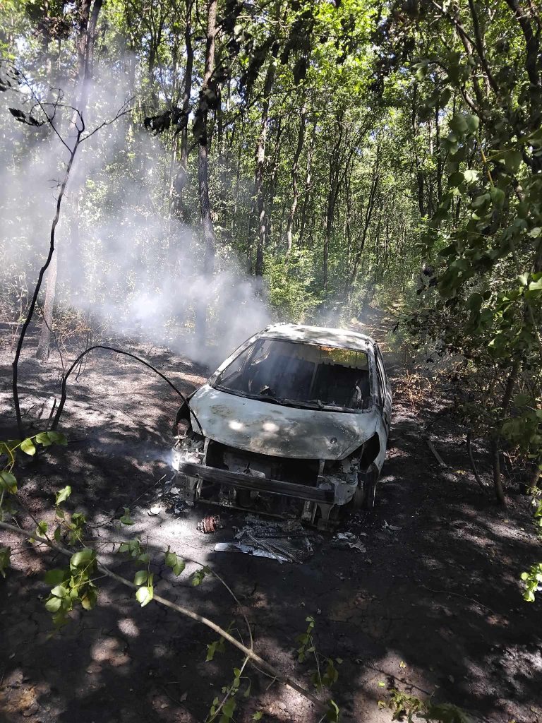 Belsh/ Digjet makina në pyllin e Dëshiranit (Video)