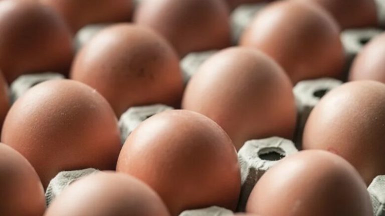 Salmonela helmon amerikanët, tërhiqen nga tregu 1.7 milionë vezë