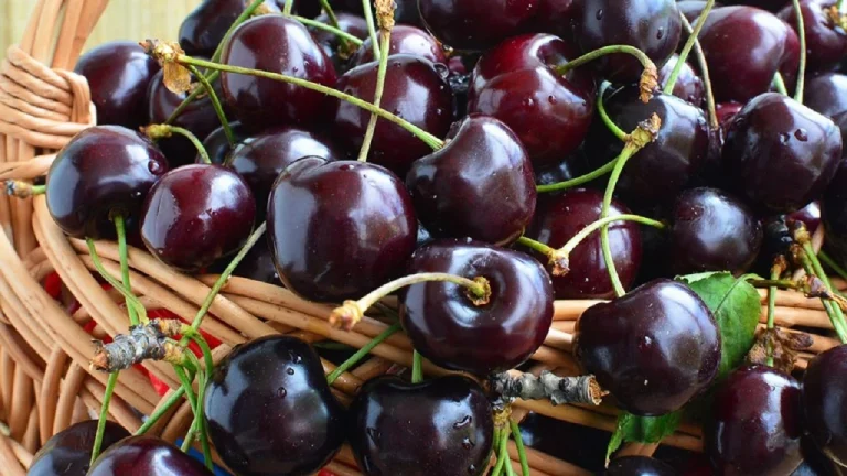 Përse duhet të hani qershi para gjumit? Zbuloni ndikimin që kanë në organizëm