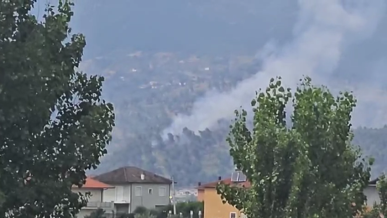 Përfshihet nga flakët Kodra e Krastës në Elbasan