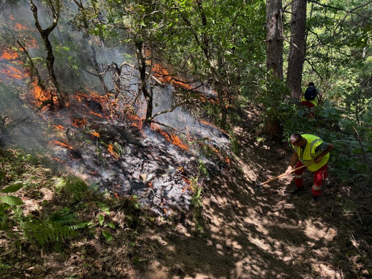 Zjarr në Shmil, Elbasan,angazhohen rreth 90 forca operacionale