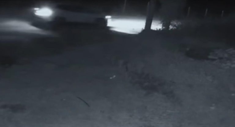 Vranë dhe hodhën në liqen 23-vjeçarin, ja makinat që u përdorën për vrasjen