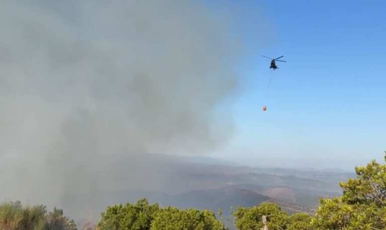 Riaktivizohet zjarri në Drenovë të Mallakastrës, zjarrfikësit dhe 40 trupa të Forcave të Armatosura në terren! Ndërhyet edhe nga ajri me helikopterin Cougar